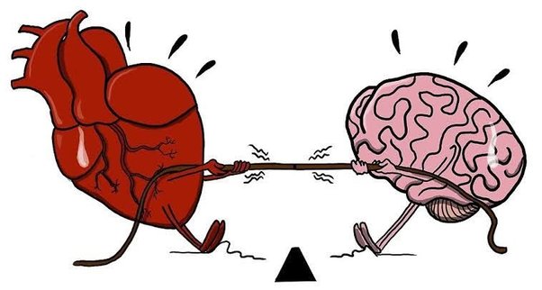 Do you go with your heart or your head more?